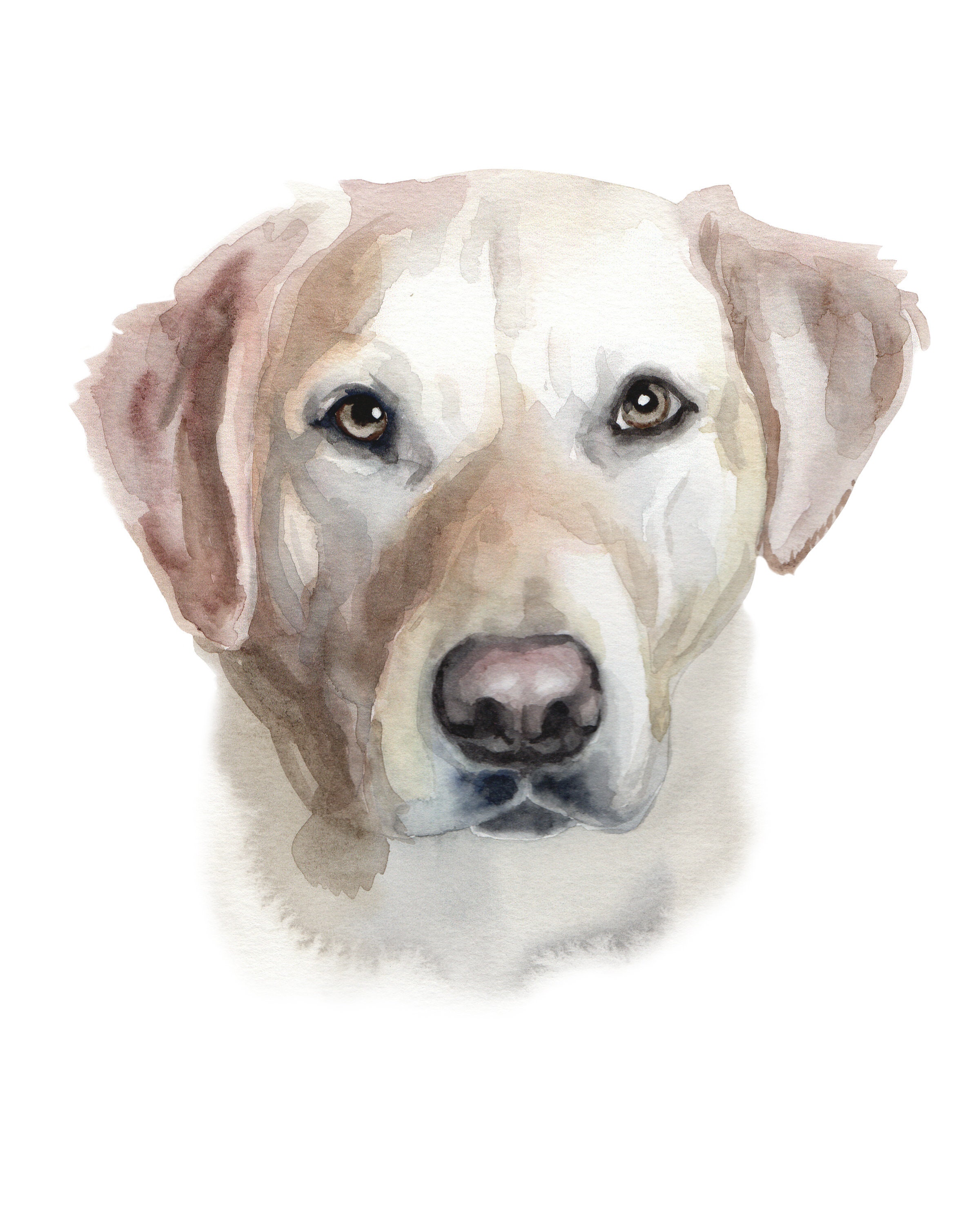 Cool Pet Portrait - Etsy