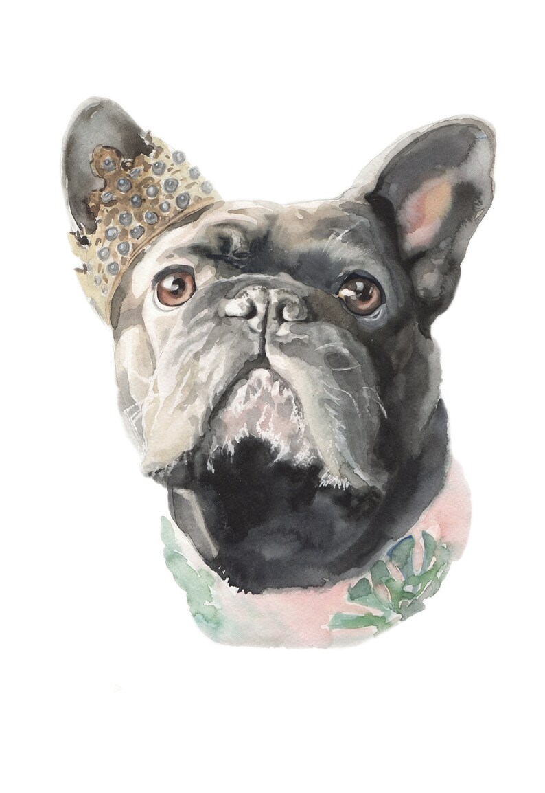 May include: A watercolor painting of a black French bulldog wearing a gold crown and a pink and green floral collar.