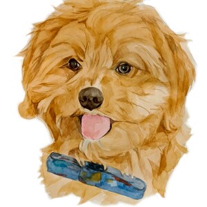 May include: Watercolor painting of a light brown dog with its tongue sticking out. The dog is wearing a blue collar with a pattern.