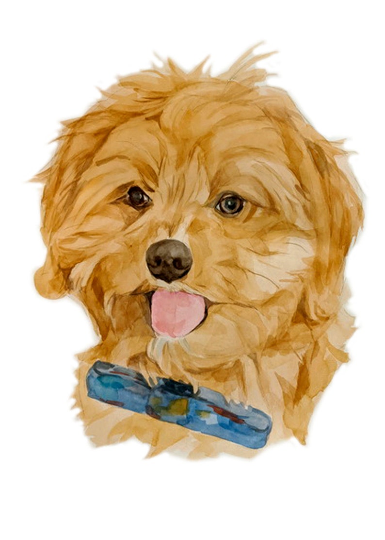 May include: Watercolor painting of a light brown dog with its tongue sticking out. The dog is wearing a blue collar with a pattern.