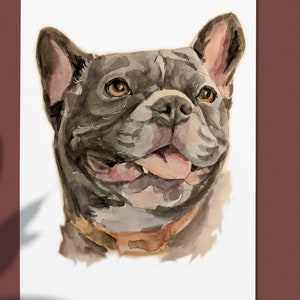 Op de afbeelding: Waterverf schilderij van een Franse Bulldog met een bruine halsband. De hond heeft een lichtgrijze vacht en kijkt naar rechts met zijn tong naar buiten.