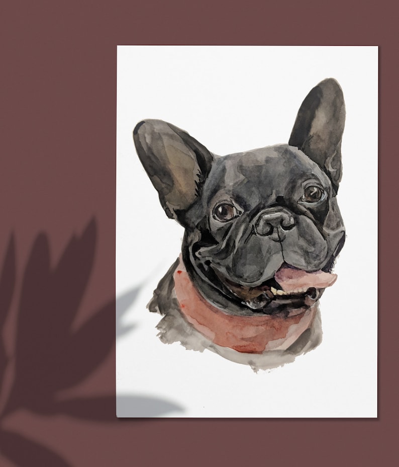 Op de afbeelding: Waterverf schilderij van een zwarte Franse Bulldog met een roze halsband, de hond kijkt naar rechts en heeft zijn tong uitgestoken.