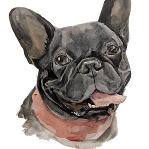 Op de afbeelding: Waterverf schilderij van een zwarte Franse Bulldog met een roze bandana. De hond kijkt naar rechts en heeft zijn tong uitgestoken.