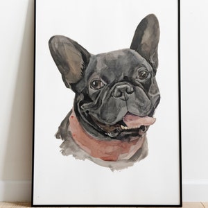 Op de afbeelding: Waterverf schilderij van een zwarte Franse Bulldog met een roze halsband. De hond kijkt recht naar de kijker met zijn tong naar buiten.