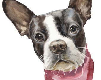 Custom Pet Portraits as gifts by a professional dog painter Olga Shpigel