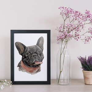 Op de afbeelding: Een ingelijst aquarel schilderij van een zwarte Franse bulldog met een roze halsband. De hond kijkt naar de kijker met zijn tong naar buiten. Het schilderij is op een witte achtergrond en is ingelijst in een zwart frame.