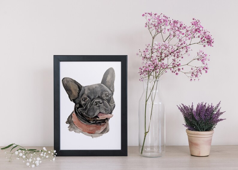 Op de afbeelding: Een ingelijst aquarel schilderij van een zwarte Franse bulldog met een roze halsband. De hond kijkt naar de kijker met zijn tong naar buiten. Het schilderij is op een witte achtergrond en is ingelijst in een zwart frame.