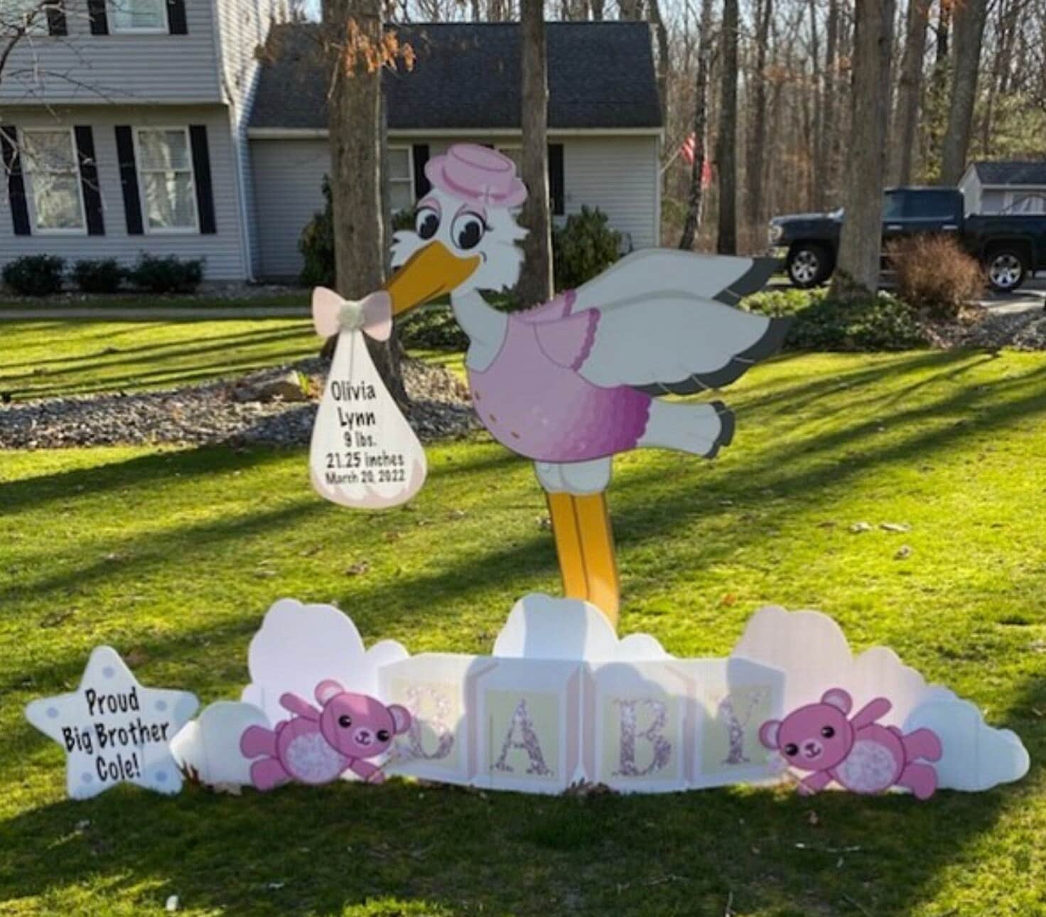Baby Stork for Rent in New Jersey