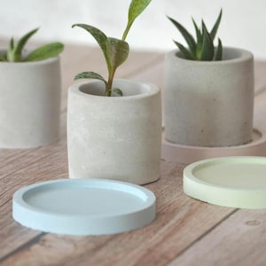 Lot de 3 pots industriels en ciment – 5,7 × 5,5 cm avec trou de drainage + soucoupes colorées | Idéal pour les plantes grasses et les cactus