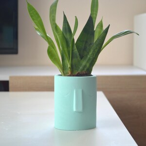 Puede incluir: Una maceta de color azul claro con un diseño de cara, que incluye ojos cerrados y una nariz. Una planta serpiente verde está creciendo en la maceta.