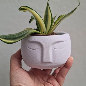 Può includere: Un piccolo vaso di fiori lilla chiaro con un design a volto, contenente una piccola pianta con foglie verdi e gialle. Il vaso è rotondo e ha una finitura opaca. La pianta è una varietà di sansevieria.