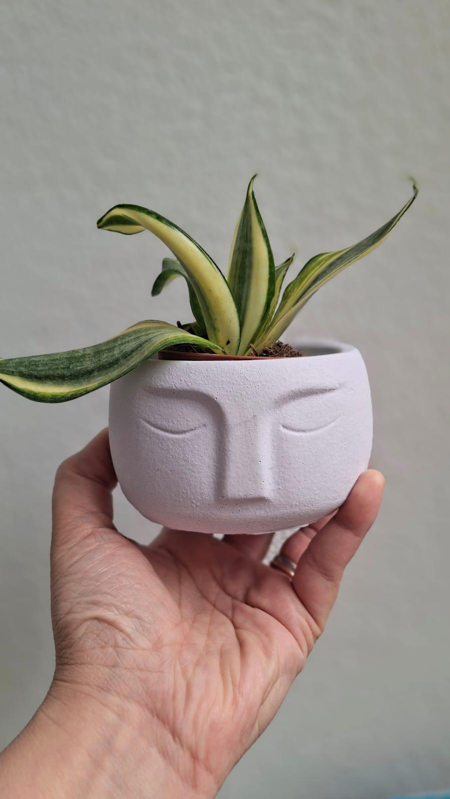 Vaso di cemento, vasi da fiori, fioriera decorativa, fioriera in cemento, stile nordico, vaso in cemento, cemento geometrico, vaso con volto