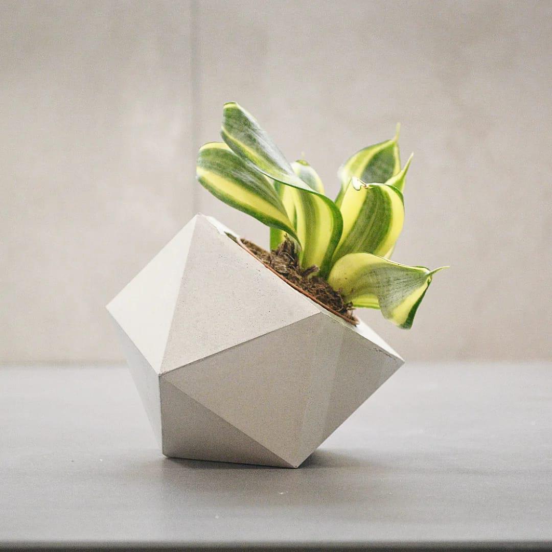 Vaso di cemento, vasi, diamante di cemento, fioriera di cemento, vaso geometrico di cemento, cemento geometrico, fioriera di cemento