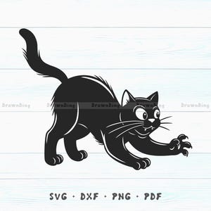 Katze für Cricut-Dateien, DXF, PNG, lustige Katzen-Svg, Katzen-Silhouette-Svg, Baby-Katze-Svg, Süße Katze