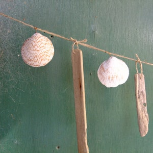 Driftwood and seashell garland or swag with a nautical seaside theme, using Cornish driftwood and shells. image 4