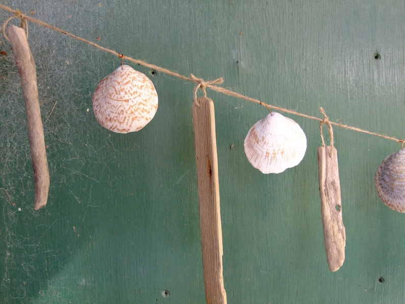 Driftwood and seashell garland or swag with a nautical seaside theme, using Cornish driftwood and shells. image 4