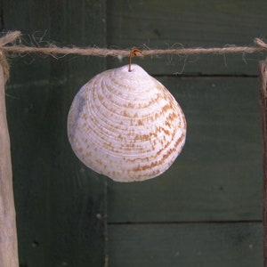 Driftwood and seashell garland or swag with a nautical seaside theme, using Cornish driftwood and shells. image 7