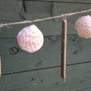 Driftwood and seashell garland or swag with a nautical seaside theme, using Cornish driftwood and shells. image 2