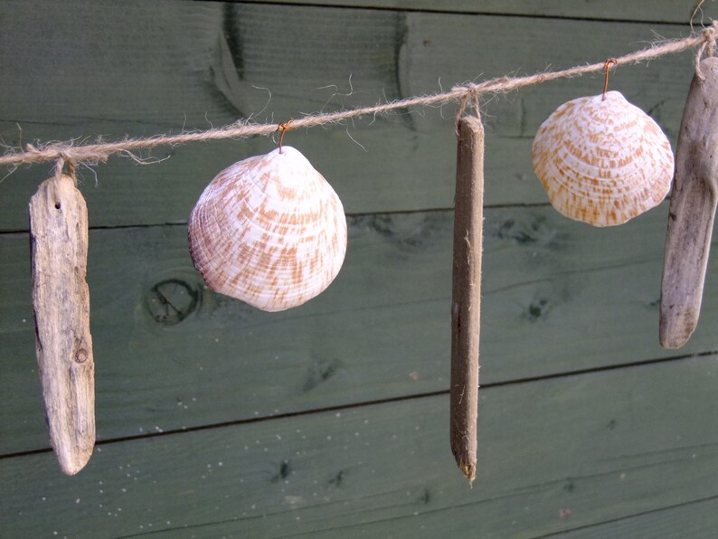 Driftwood and seashell garland or swag with a nautical seaside theme, using Cornish driftwood and shells. image 2