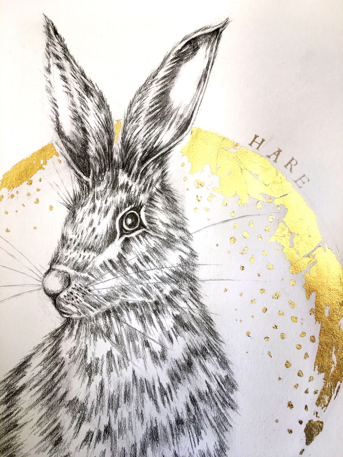 Hase Zeichnung Hase Bilder Tier Bleistiftzeichnung A3 | Etsy