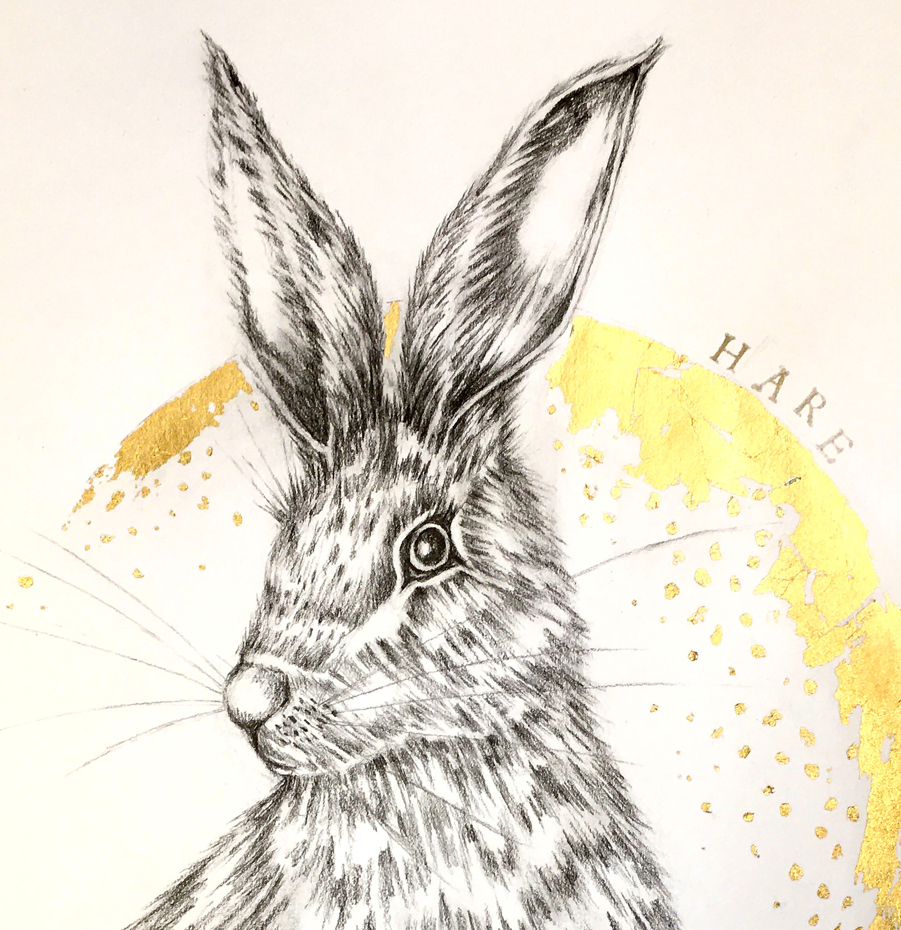 Hase Zeichnung Hase Bilder Tier Bleistiftzeichnung A3 | Etsy