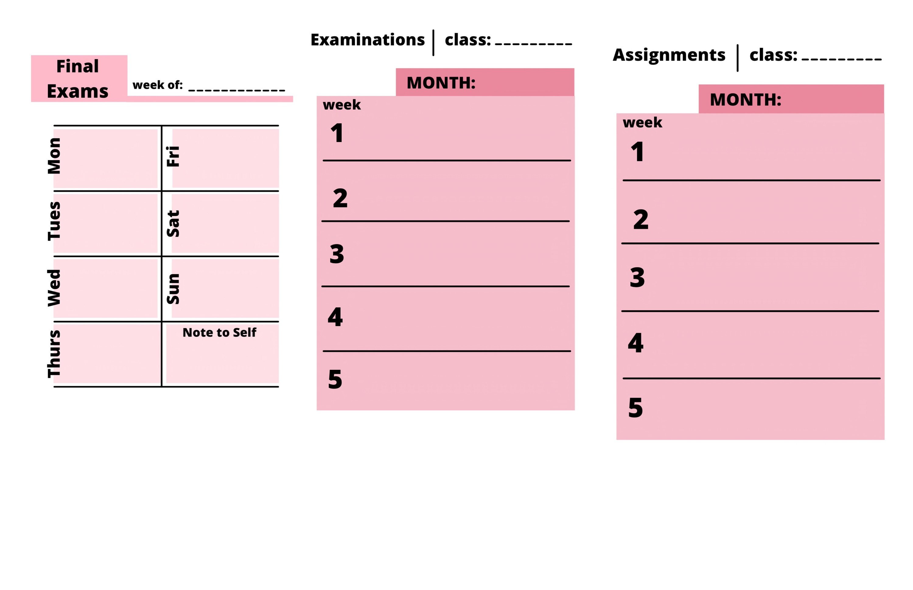 Nursing School Planner, Digital Nursing School Planner 20222023