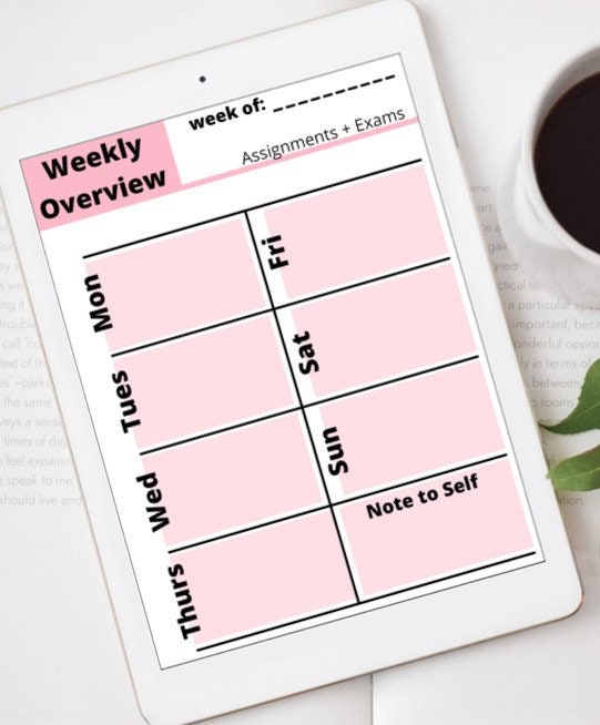 Nursing School Planner, Digital Nursing School Planner 20222023