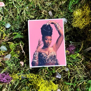 Individuele sticker Megan Thee Stallion Pink Cobra
