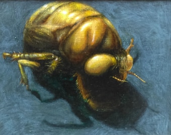 Cicada
