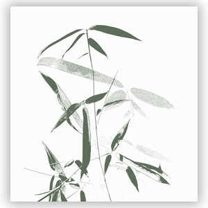 Puede incluir: Una ilustraci&oacute;n estilizada de hojas de bamb&uacute; verdes sobre un fondo blanco.