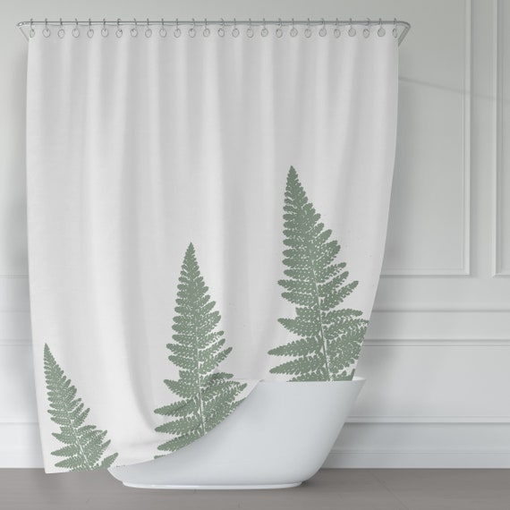 gummibaum thailand Ficus elastica variegata Altissima  Gummibaum Stmmchen 80100 cm