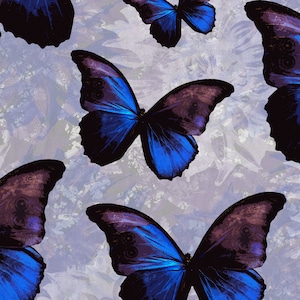 Blue Morpho Butterflies on Light Purple Background Fabric Shower Curtain - Perfect for Kids, Tweens and Other Butterfly Lovers