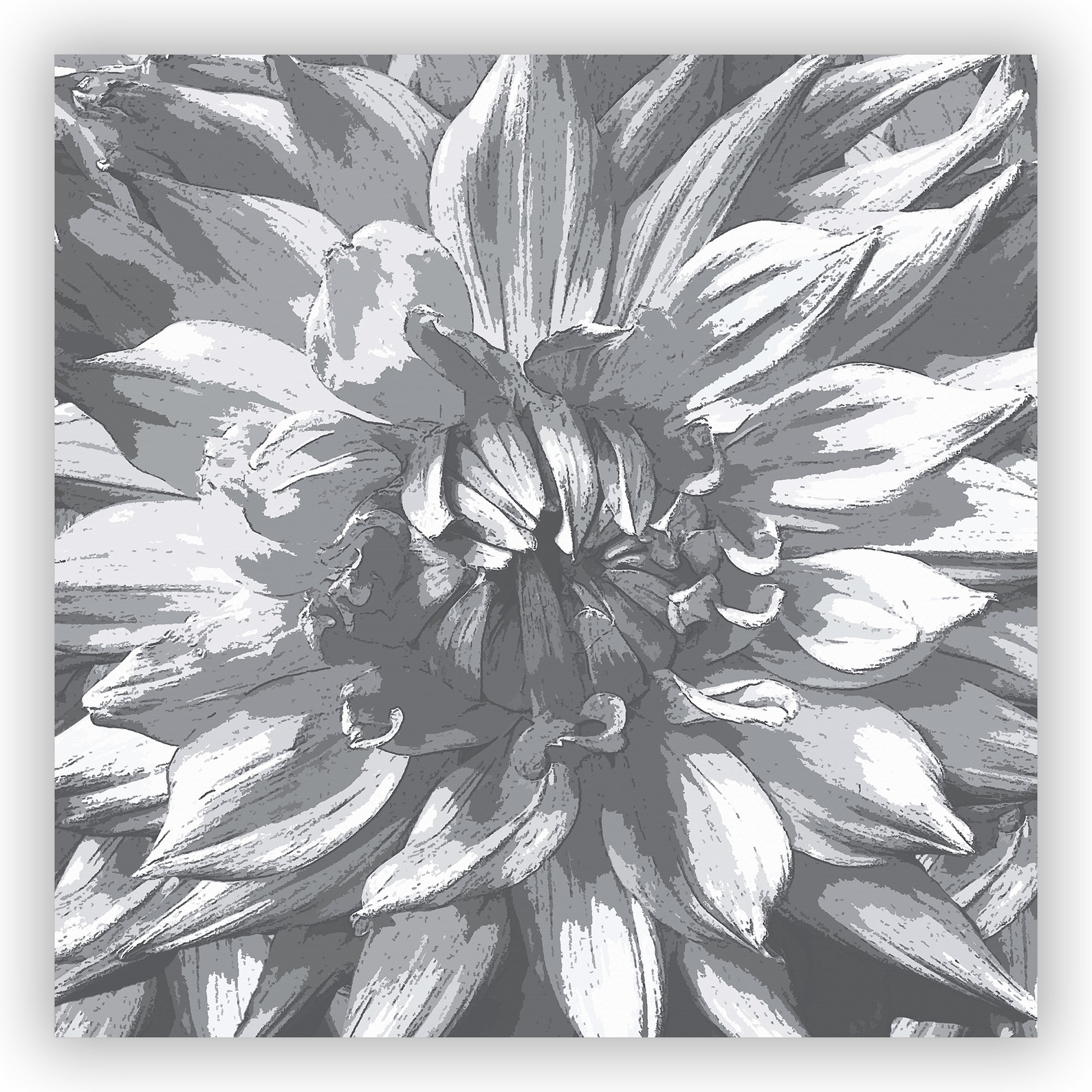 Grau / schwarz Dahlia Riesen Blume Dusche Vorhang | Etsy