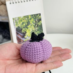 May include: A small, crocheted purple pumpkin with a black crocheted stem.