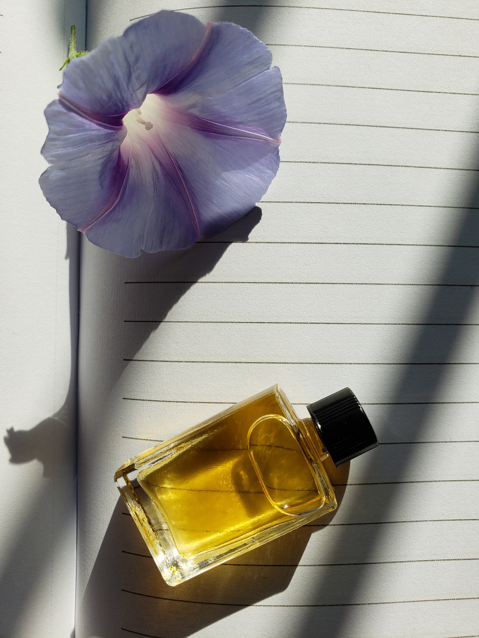 Parfum elementals. Extrait de parfums bossen Etsy Nederland