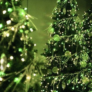 Perfume &quot;Christmas Lights&quot;. Virginia cedarwood, sandalwood, Russian coriander, Sichuan pepper, jasmine sambac, rose, star anise, tonka, musk