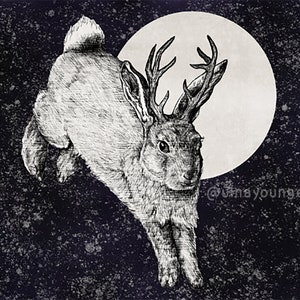 Jackalope Print 4.25&quot; x 5.5&quot;