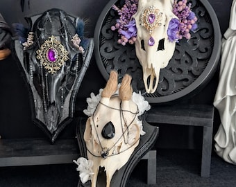 Skulls & Bones / Deko Geweih Skull Schädel Gehörn Trophäe Hirsch Reh Gothic Home Decor Antlers