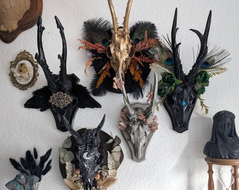 Skulls & Bones / Deko Geweih Skull Schädel Gehörn Trophäe Hirsch Reh Gothic Home Decor Antlers