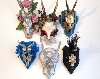 Crânes et os / Bois décoratifs Crâne Cornes Trophée Cerf Cerf Gothique Décoration d'intérieur Bois