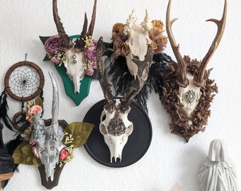 Skulls & Bones / Deko Geweih Skull Schädel Gehörn Trophäe Hirsch Reh Gothic Home Decor Antlers