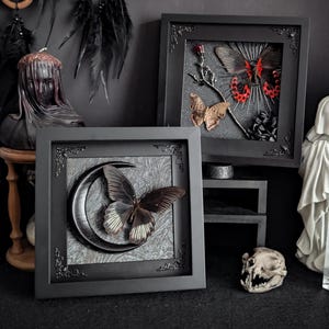 Op de afbeelding: Zwart omlijste vlinderkunstwerken met ingewikkelde details. Eén toont een vlinder tegen een maan, een ander toont een vlinder met rode accenten. Decoratieve items zijn een buste, kristallen en een schedel.