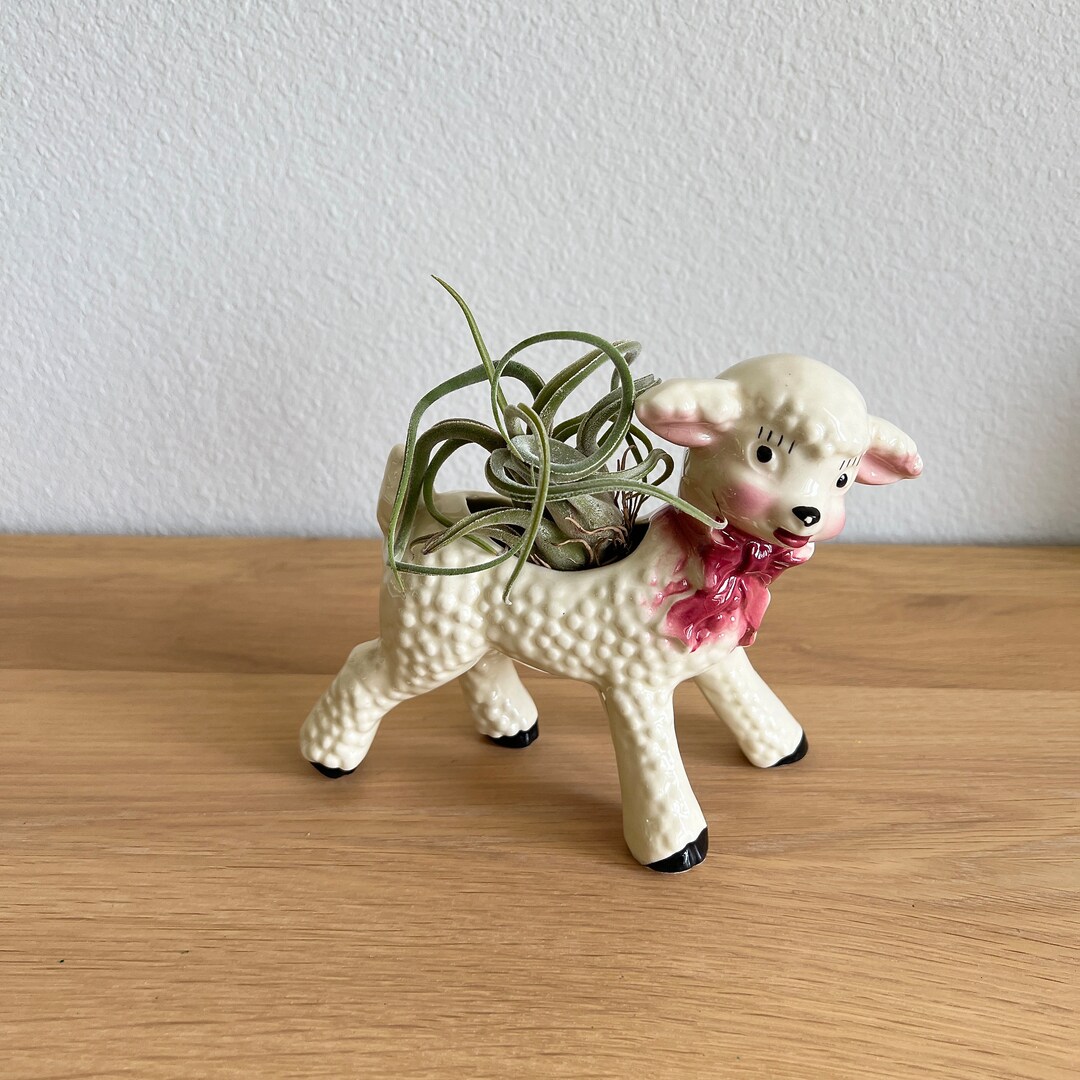 Vintage Lamb Planter Unique Retro Sheep Air Plant Holder Etsysexiezpix Web  Porn