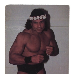 Cartolina d'epoca WWF JIMMY "Superfly" SNUKA del 1985 - 4" x 5,5” (10 x 14 cm.) - Molto rara
