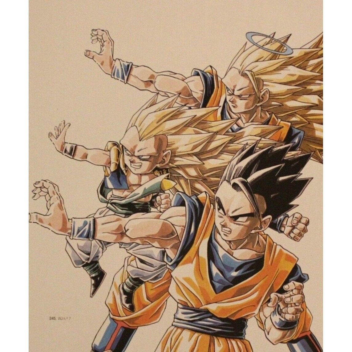 Póster 3D  Sherwood Dragon Ball Super: Goku & Z Fighters, 23.5 x