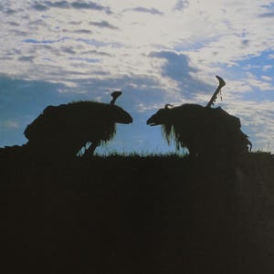 1983年 ダーククリスタル 映画ロビーカード 34 x 24.5 cm (13.5 x 9.5インチ) ジム・ヘンソン、フランク・オズ オリジナルヴィンテージスペイン商品 #7