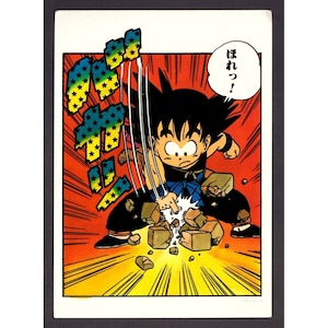 POSTAL DE DRAGON BALL DE LOS AÑOS 90 Akira Toriyama 15 x 10,5 cm (6" x 4,25") Kid Goku #38