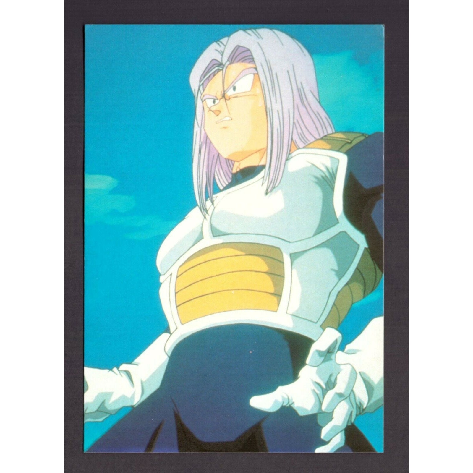 Quadro Poster Com Moldura O Trunks Do Futuro Dragon Ball Z