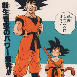 1993 DRAGON BALL Pocztówka Oryginalna hiszpańska Vintage 15 x 10,5 cm. (6" x 4") Son Goku #37