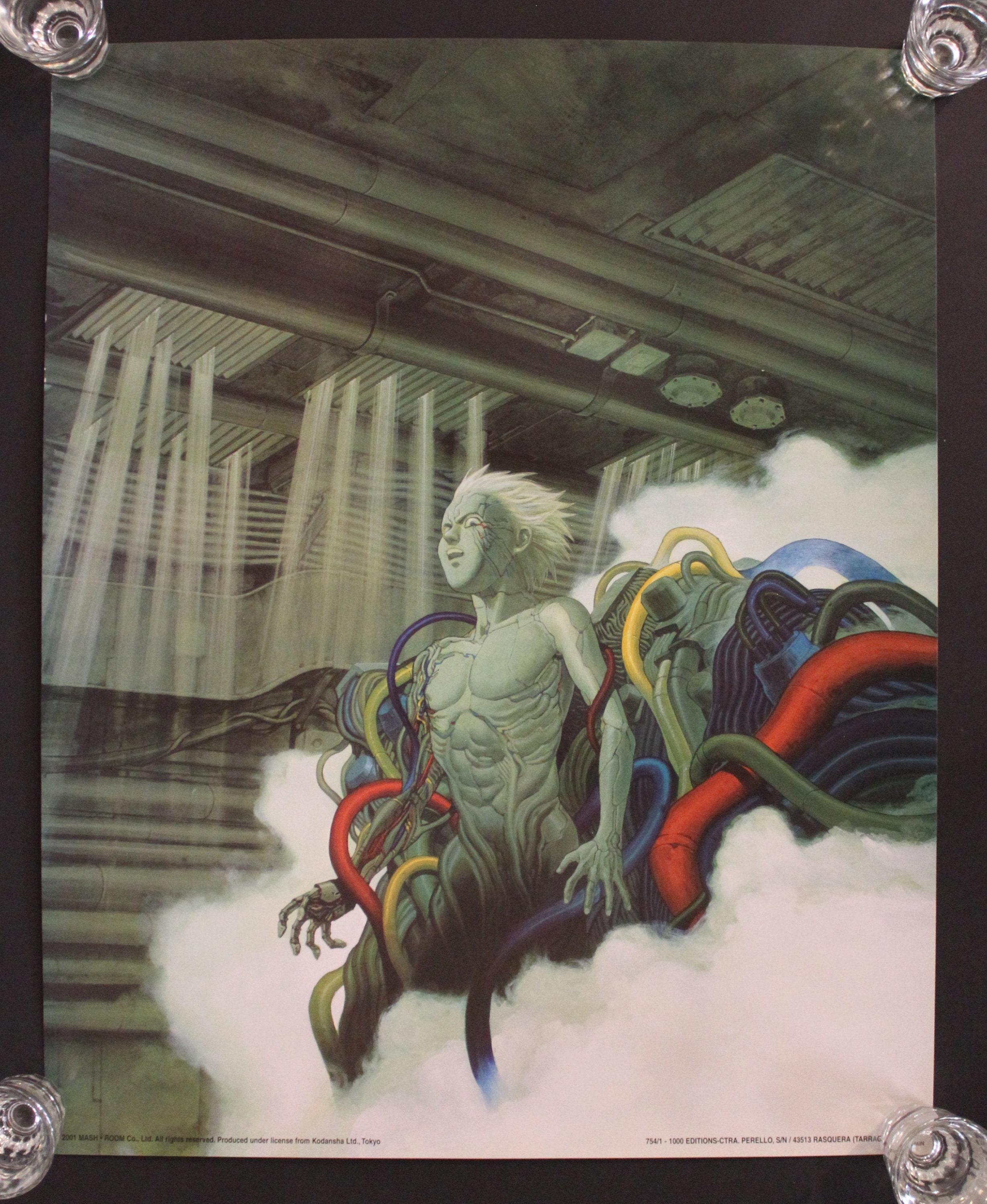 AKIRA（大友克洋）限定ポスター - スペイン直輸入 - 新品 約50 x 40 cm